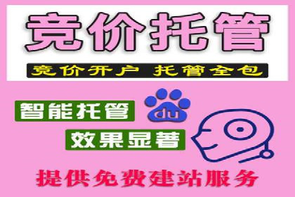 竞价广告优化实战案例分享